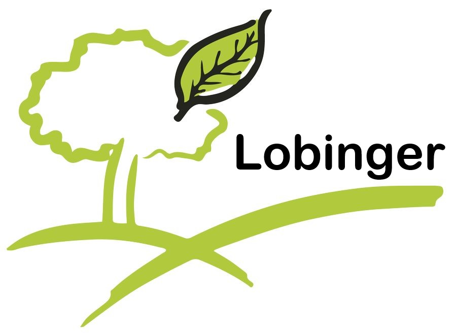 Lobinger